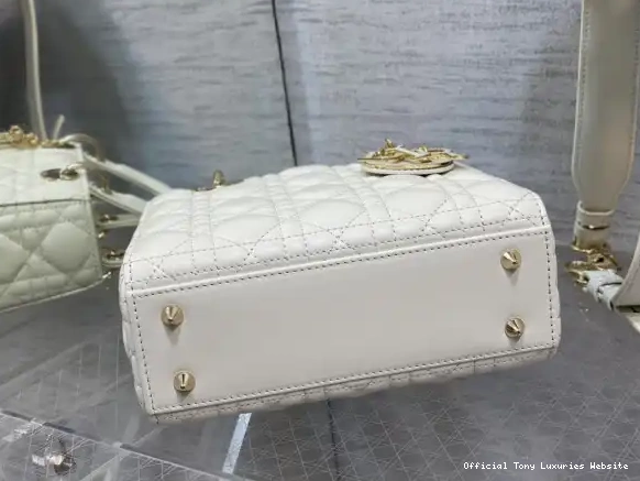 Tony Luxuries DI0R-20CM LADY 0616
